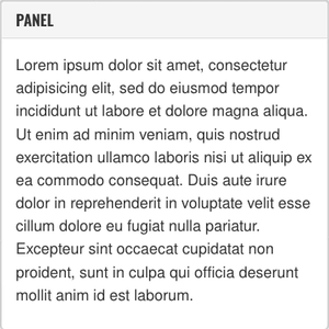 Basic Block: Panel