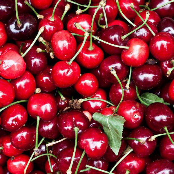 A sample picture of a bunch of cherries.